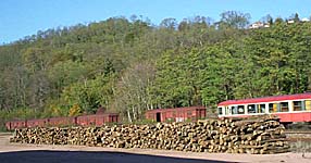 Gros tas de bois ...