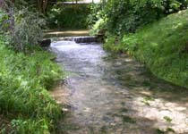 Départ de la vasque