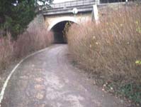 Promenade Bief de l'Ouche