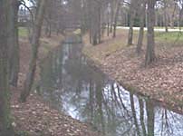 Rivière du parc de la Chartreuse