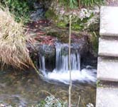 Confluent ruisseau de l'entrée