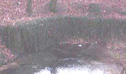Source de la rivière