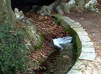 Source entrée