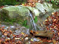 Source de Montvallet