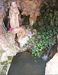 Vierge et source